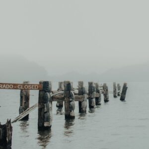 Wooden boat dock on a Florida waterway after a storm