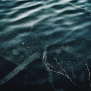 Dock pilings extending below the waterline of a river